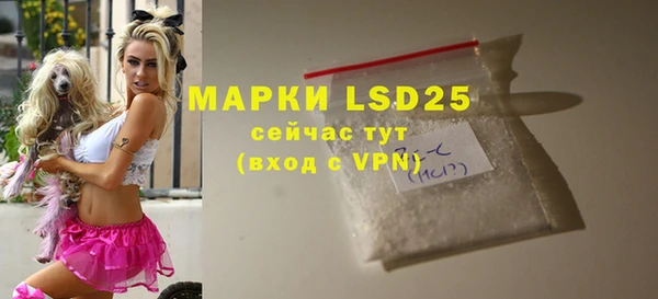 PSILOCYBIN Аркадак