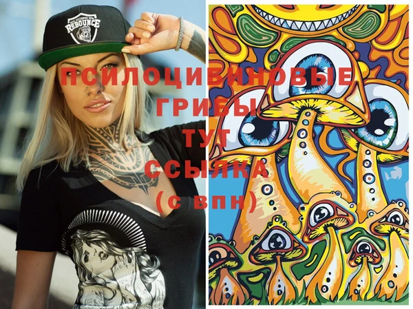 PSILOCYBIN Аркадак