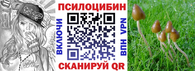 Псилоцибиновые грибы Magic Shrooms  Барыш 