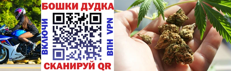 Бошки Шишки марихуана  где найти наркотики  Барыш 